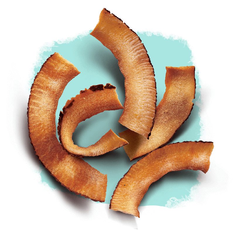 Chips de coco doce e integral — Chips de Coco Selecto Cacau