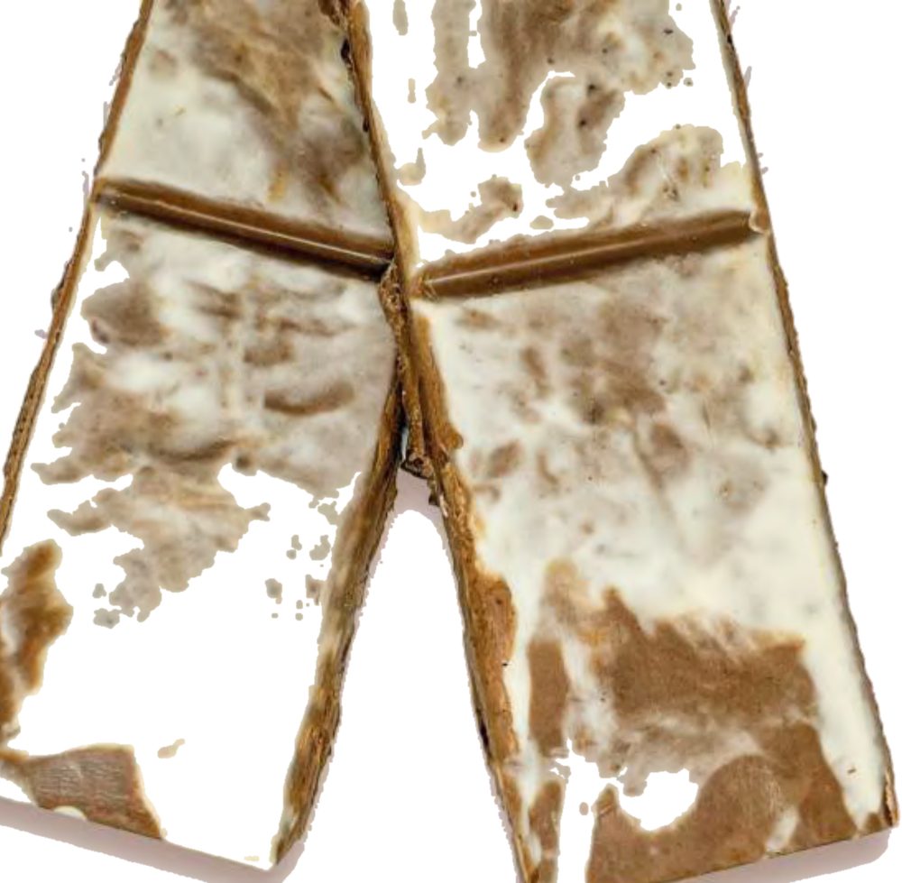 Cappuccino matinal — Funcionais & Bioativos Selecto Cacau